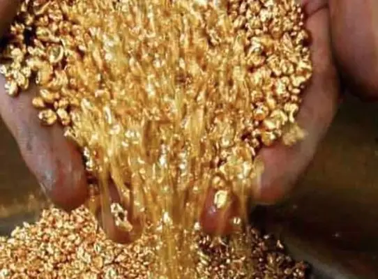 Alluvial gold dust poured from the hand